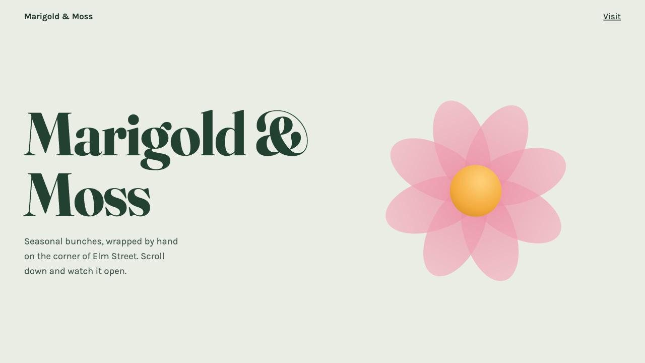Marigold & Moss concept imagery